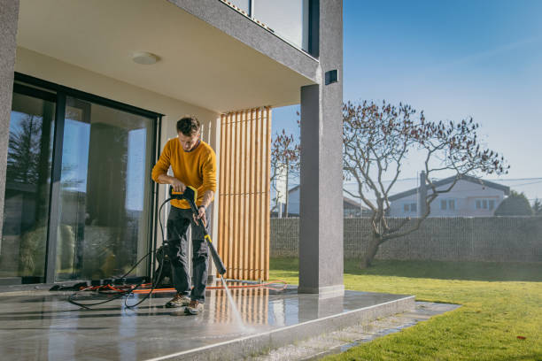 Best Roof Cleaning and Mildew Removal in Walkertown, NC